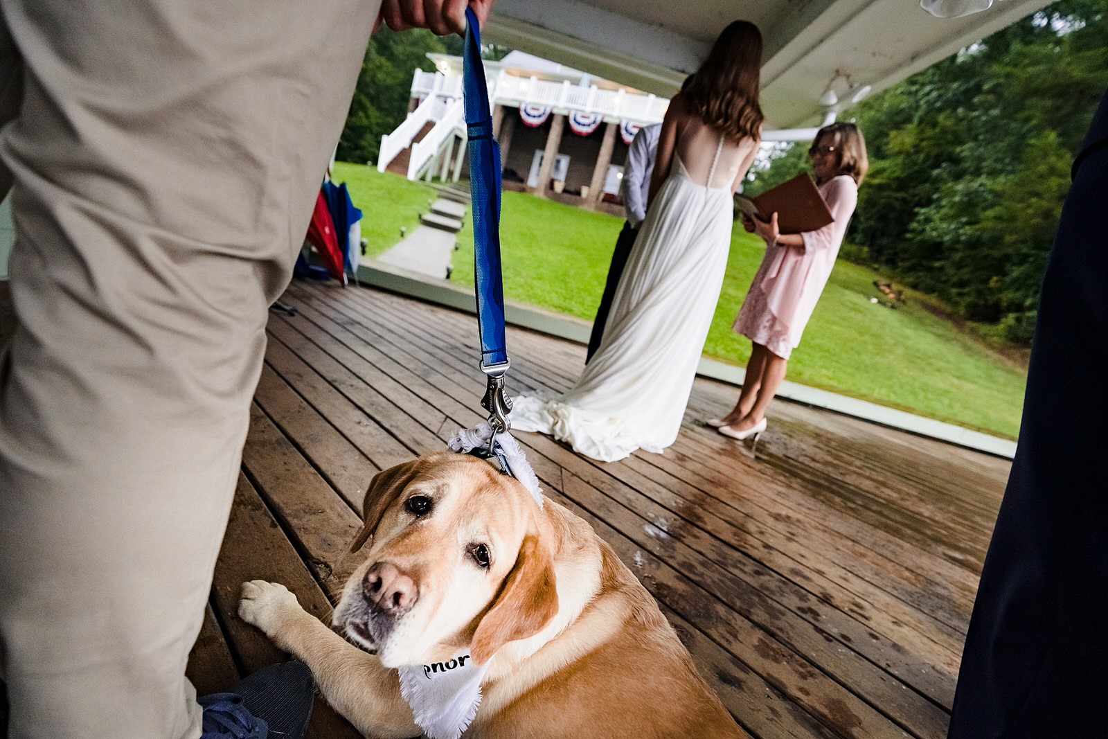 the couples dog watches their intimate backyard wedding ceremony