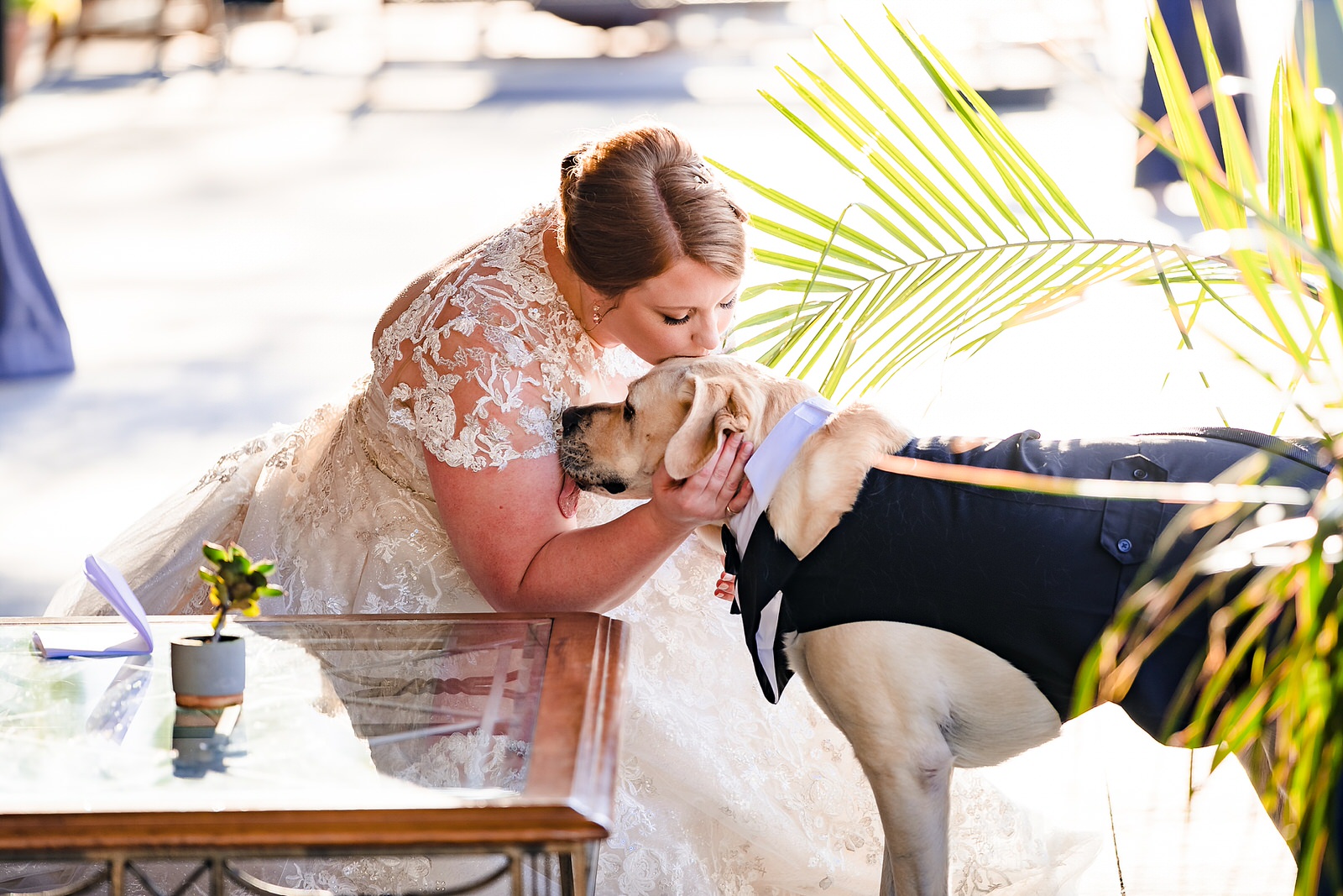 Bride with her dog ring bearer