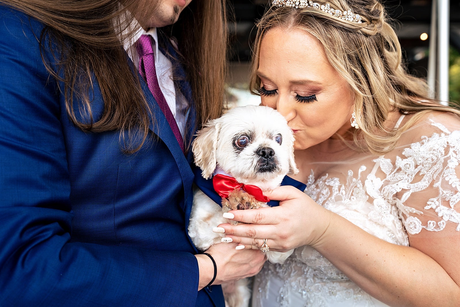 dog of distinction wears a bowtie at this wedding