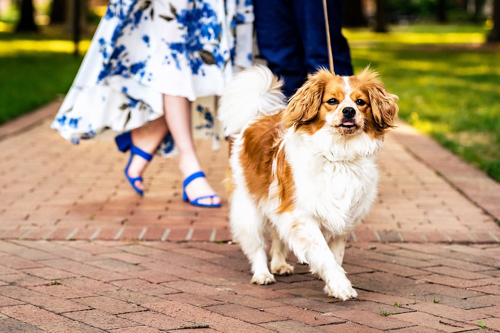 Bring your dog to your engagement session! | Kivus & Camera