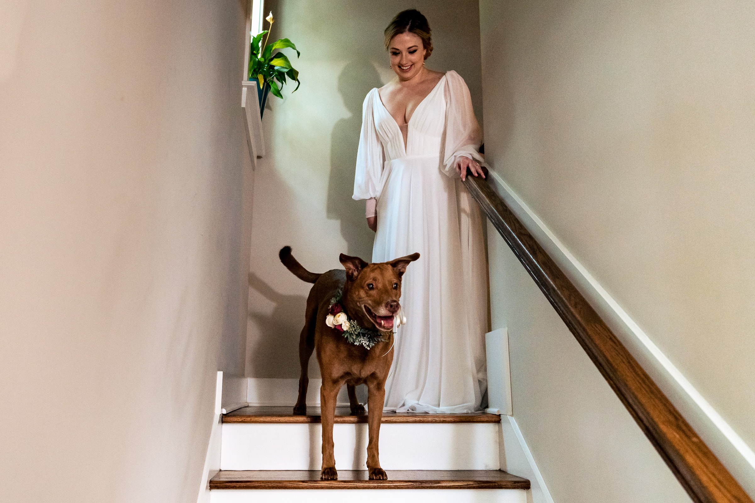 bride and her dog head downstairs to head to the historic Raleigh venue | photos by Kivus & Camera