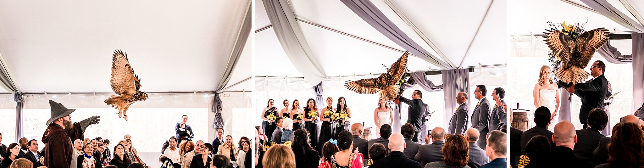 bird sanctuary wedding