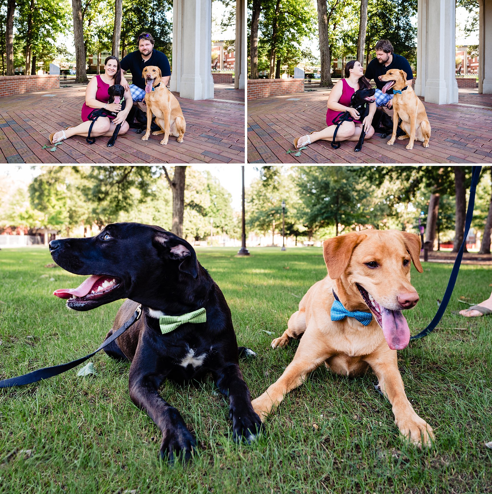 Fun engagement photos with dogs