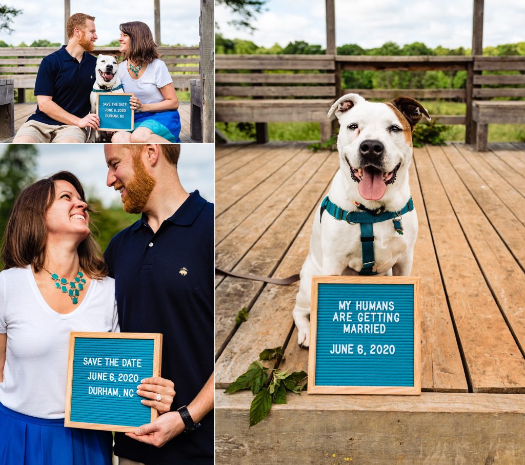 Engagement Session Hike with Bella the dog - Kivus & Camera - North ...