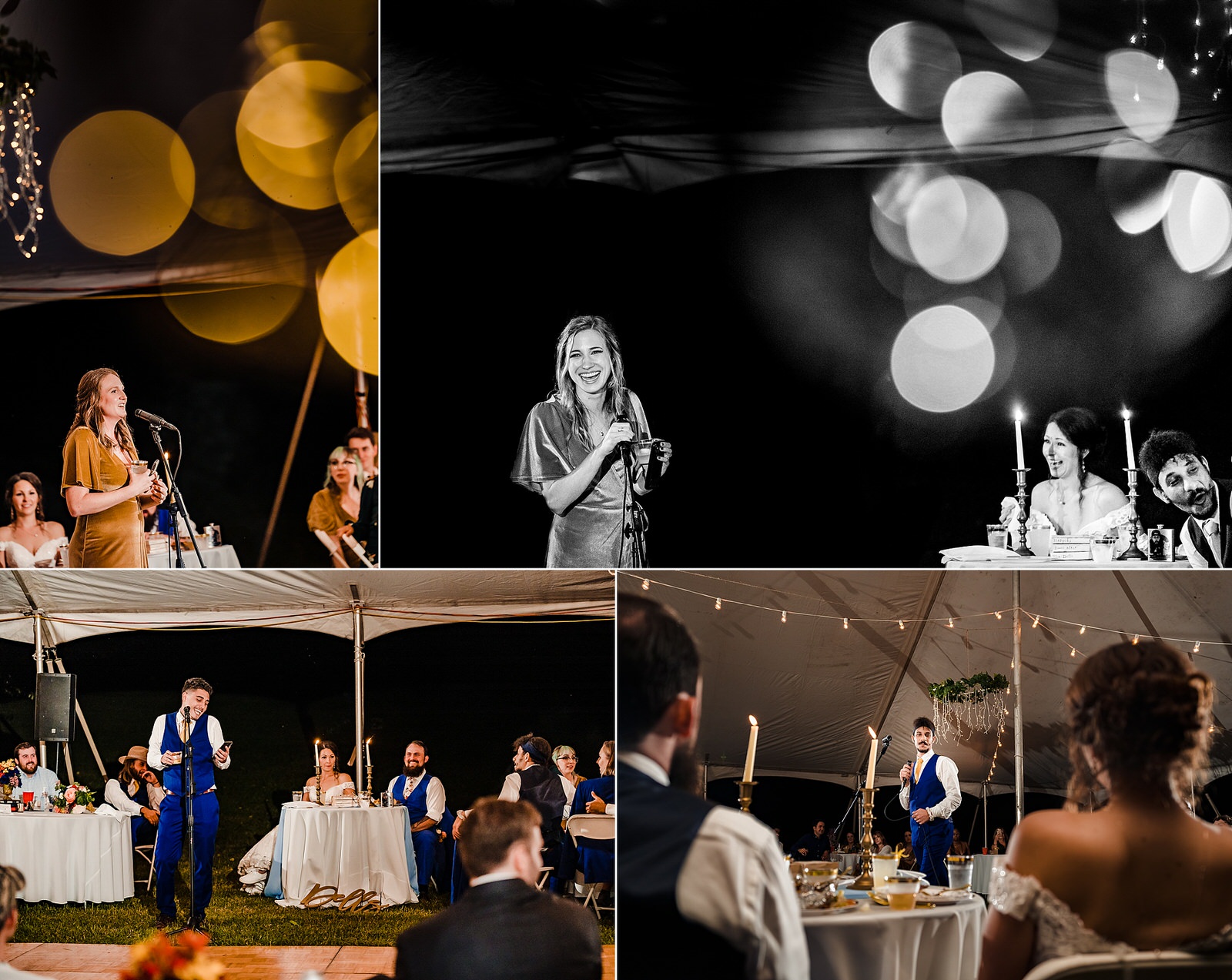 speeches at a tented wedding reception on a farm in Virginia