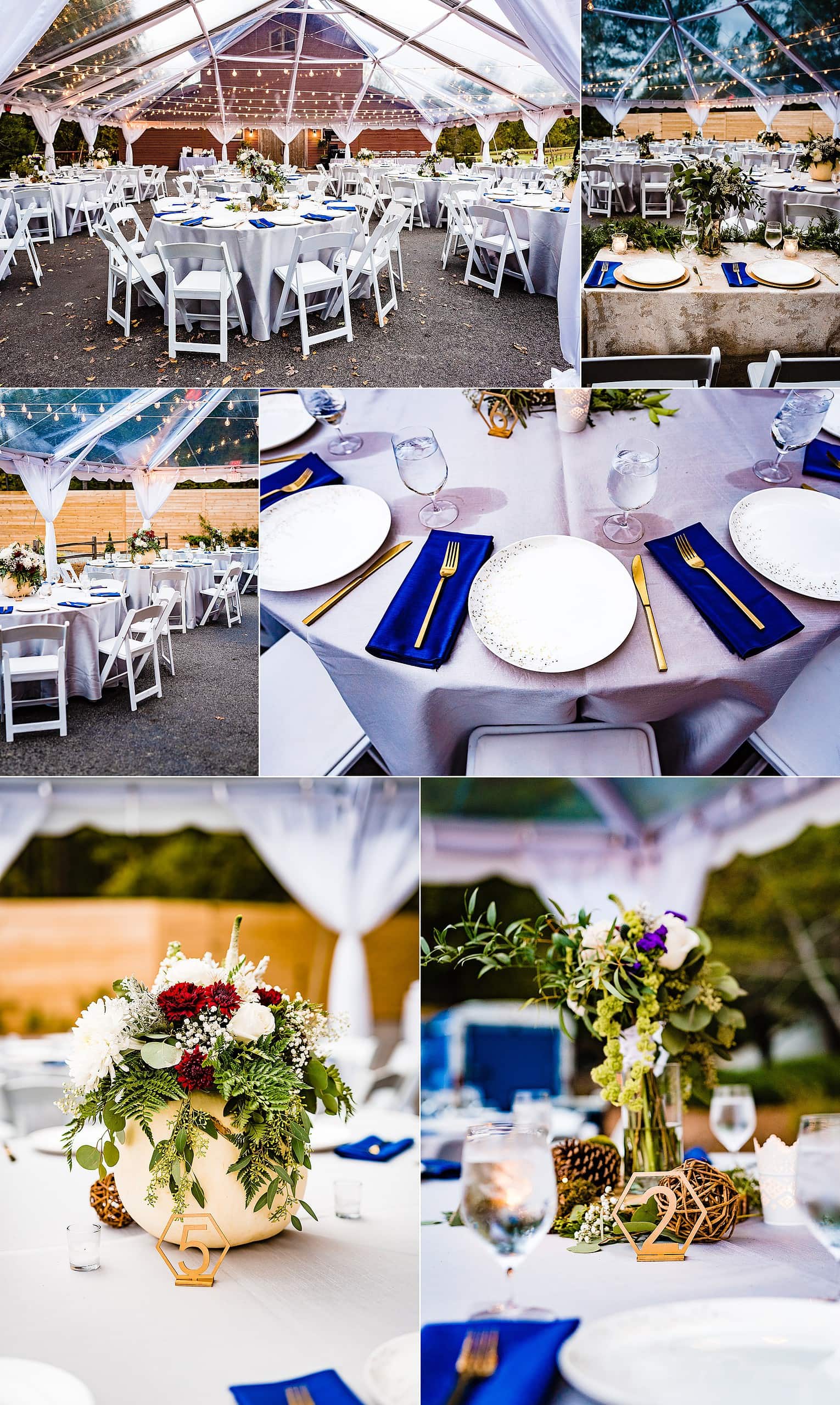 Barn at Valhalla, Barn at Valhalla Wedding, Chapel Hill Wedding, Chapel Hill Wedding Photographer, Colorful Wedding photography, Creative Wedding Photography, Fun wedding, kivusandcamera.com, Nerdy Wedding, Nontraditional Wedding, North Carolina Wedding Photographers