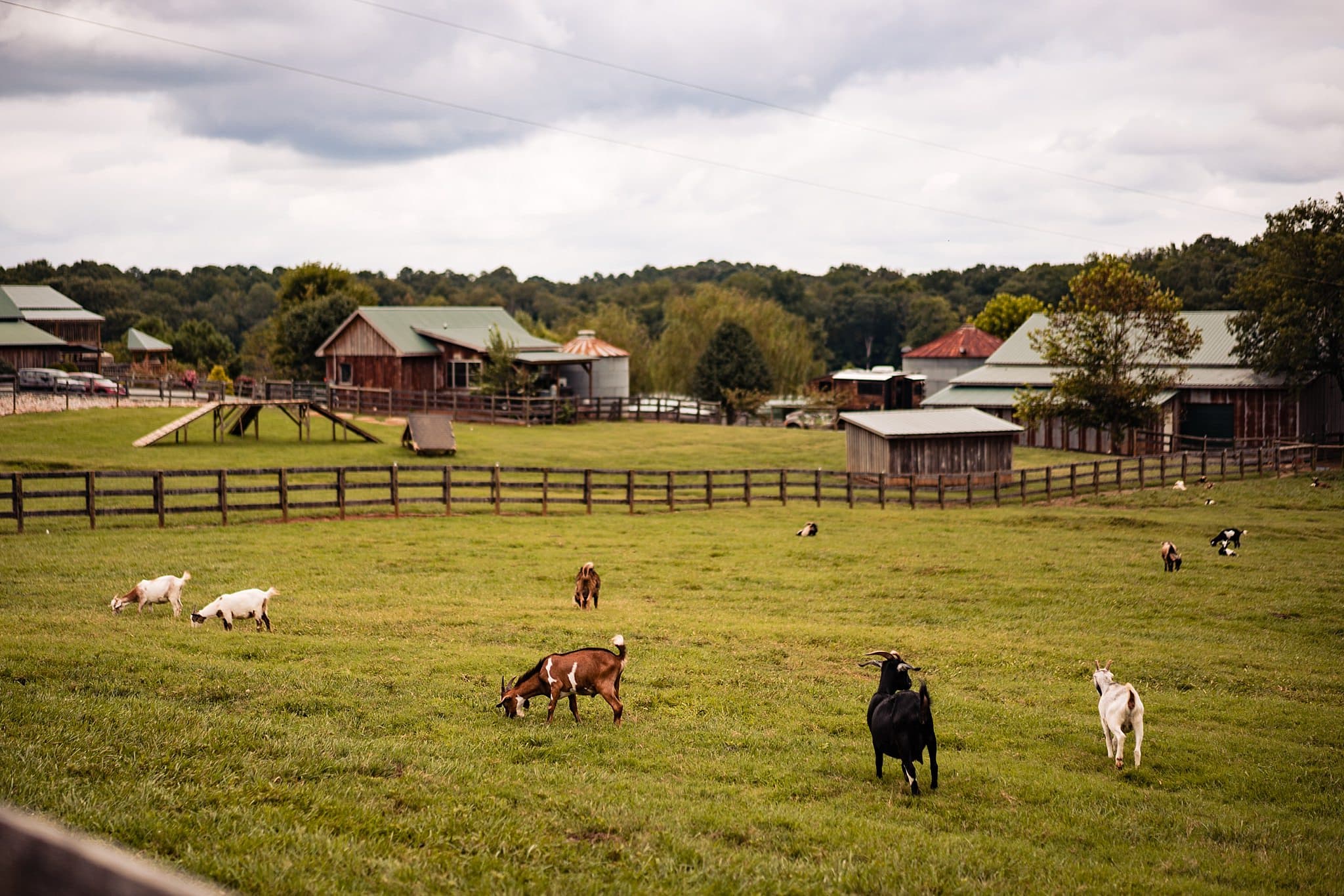 Barn at Woodlake Meadows Wedding