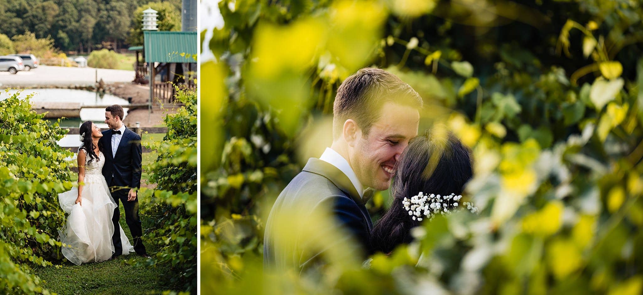 Barn at Woodlake Meadows, Vineyard First Look