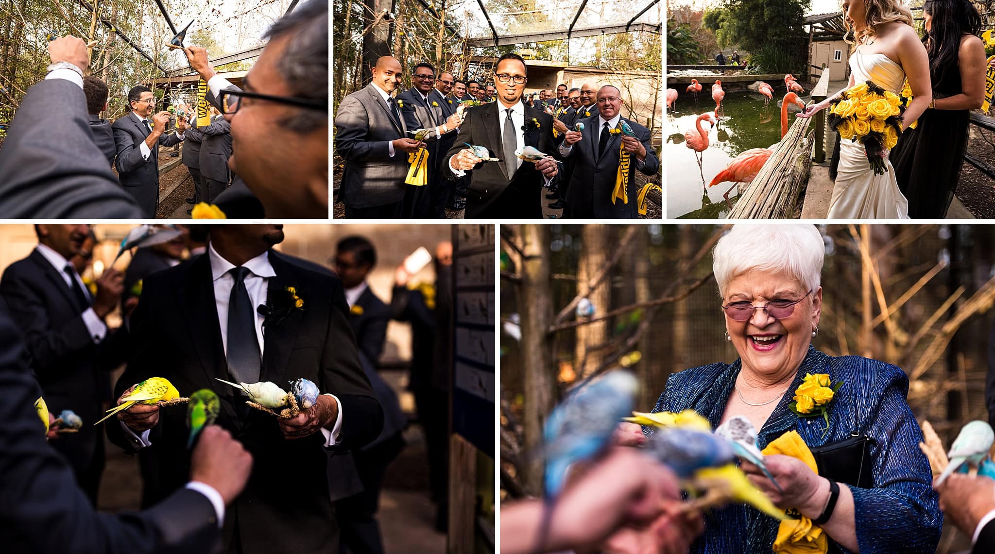Bird Sanctuary Wedding