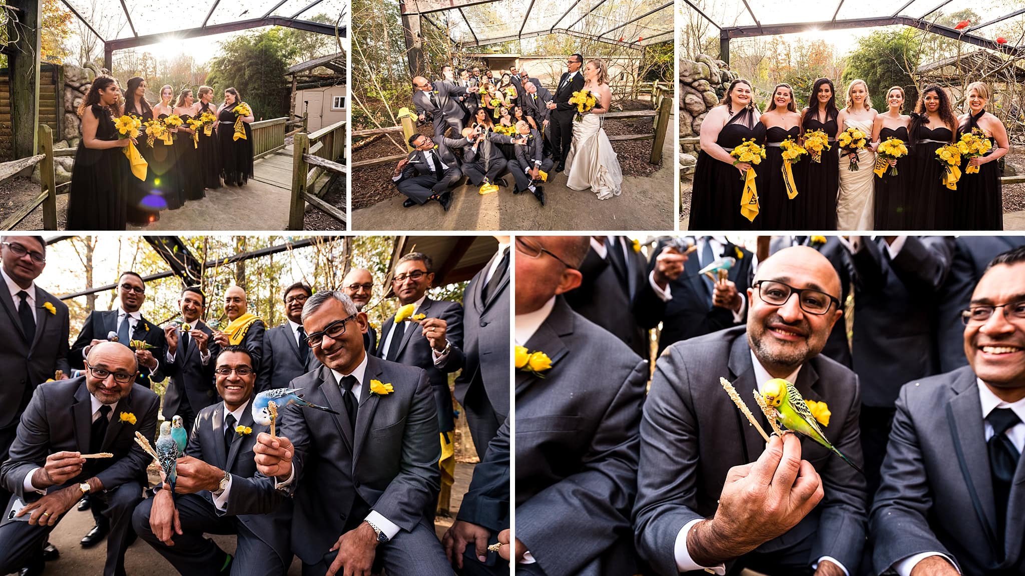 Indian Fusion Wedding