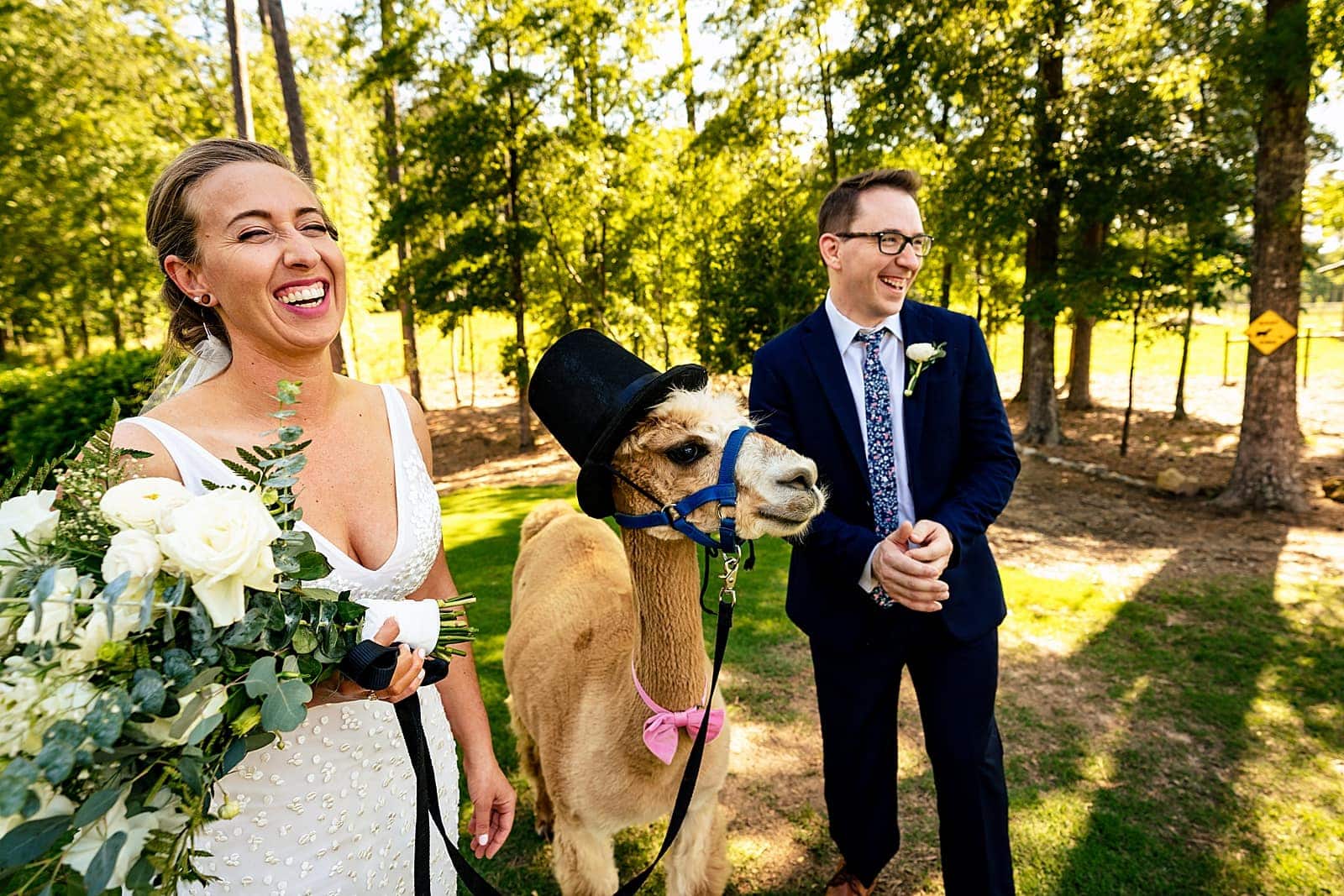 at Chapel Hill Carriage House, you can interact with the farm animals! | photos by Kivus & Camera