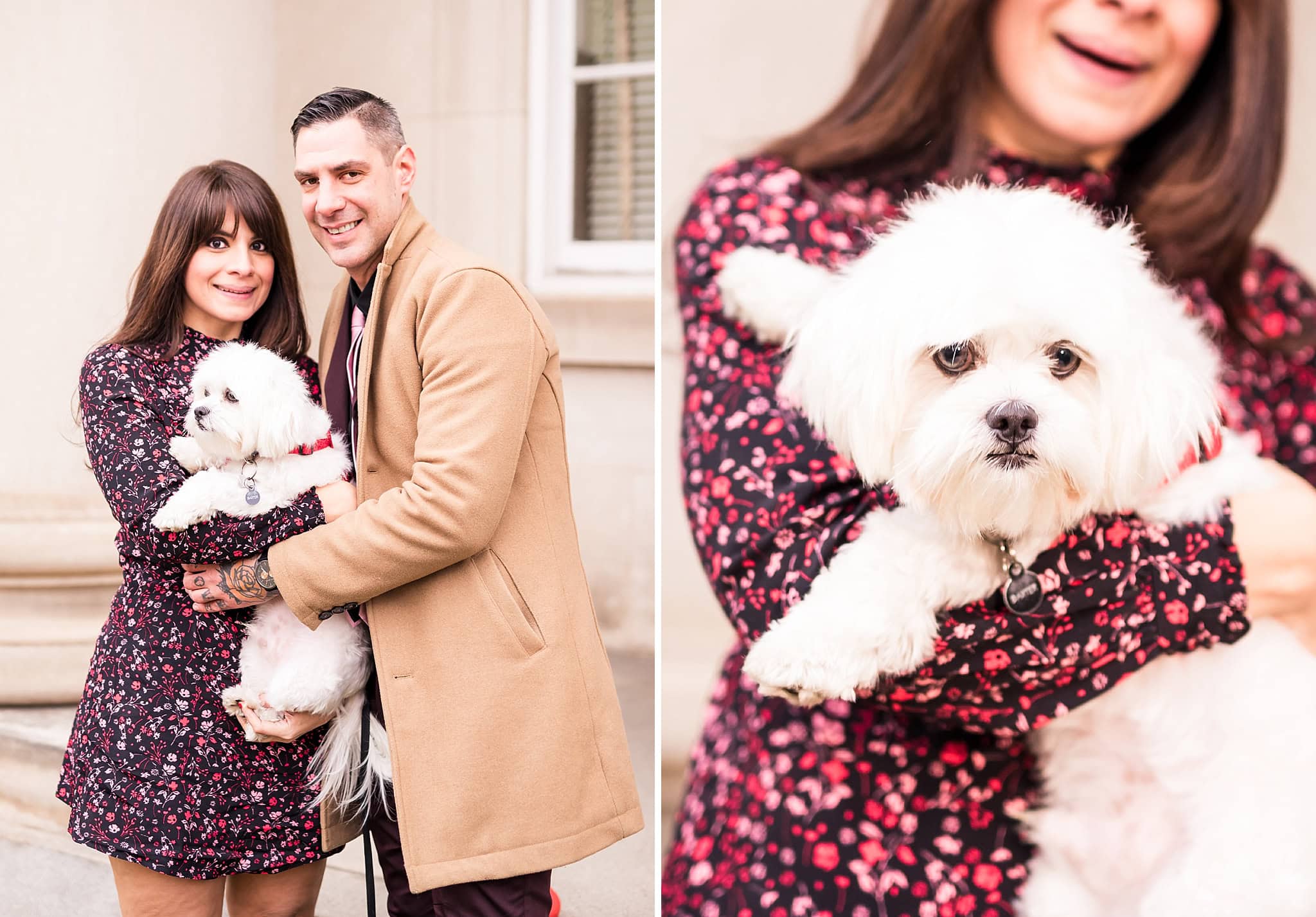 Dog at engagement session