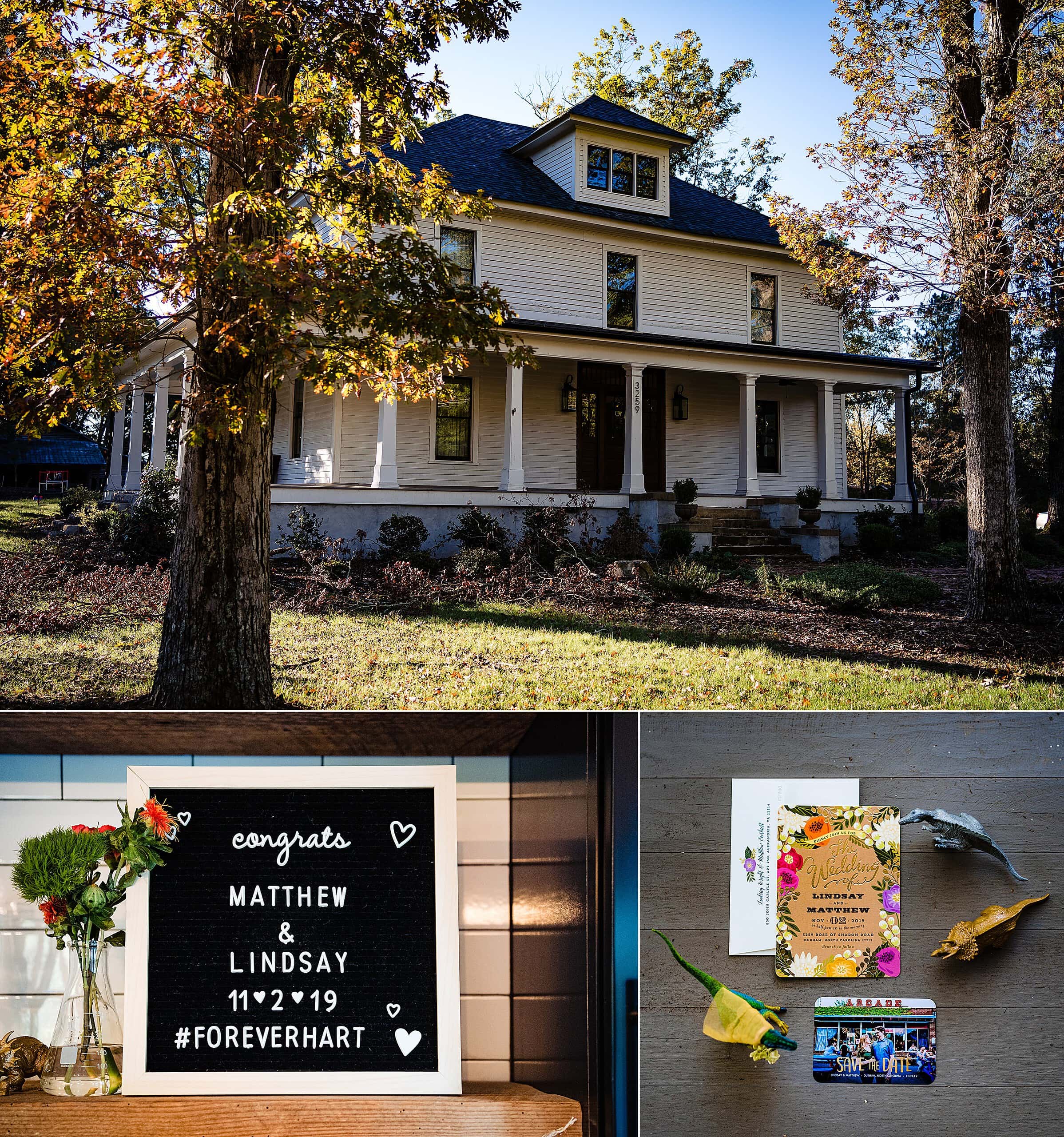 backyard wedding, brunch wedding, dinosaur wedding, Durham north carolina, durham wedding, Durham wedding photographer, intimate wedding, kivusandcamera.com, morning wedding, nc wedding photographers, North carolina wedding, Private home wedding, small wedding