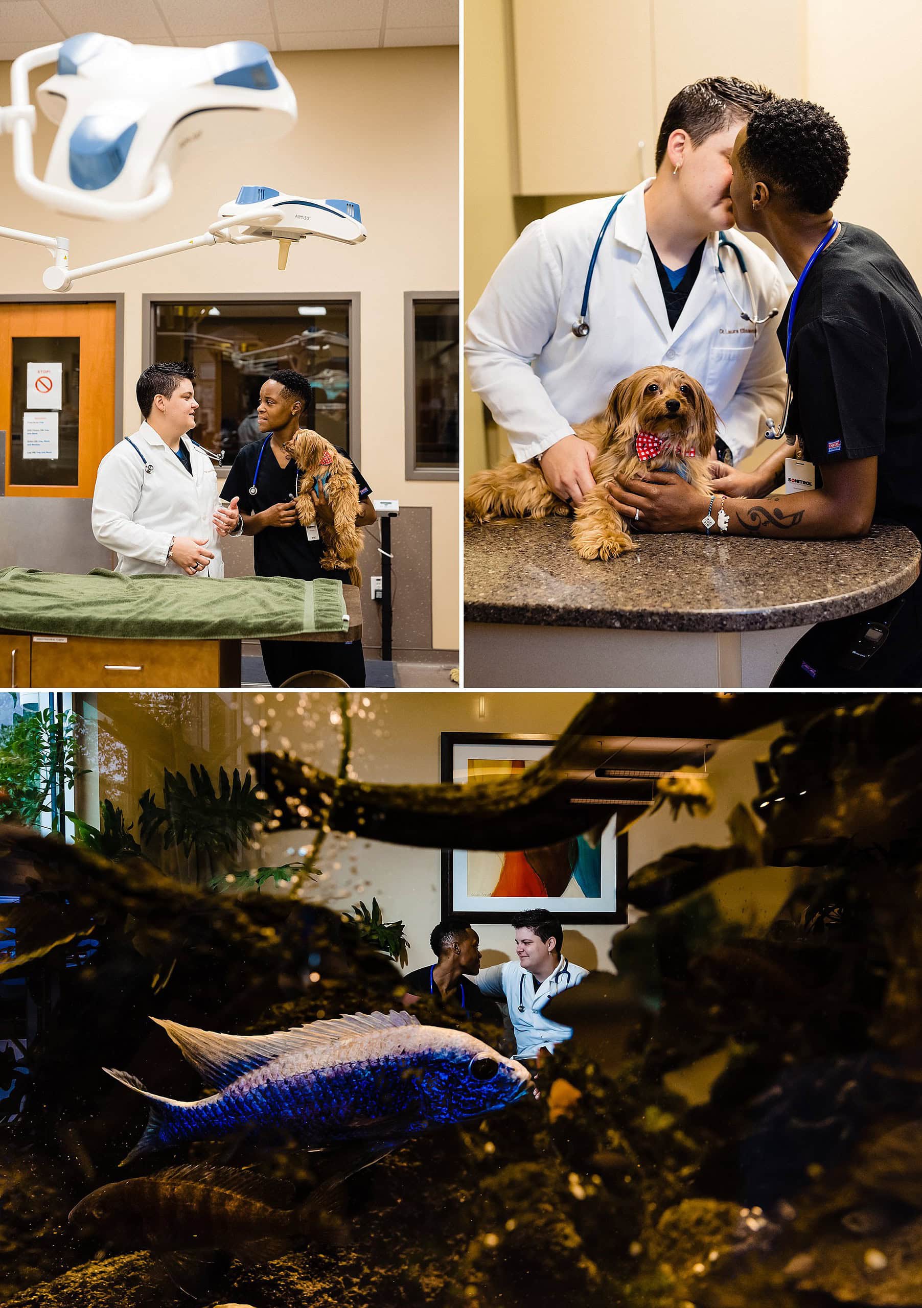 Same-Sex Engagement Session, Durham Engagement Photos