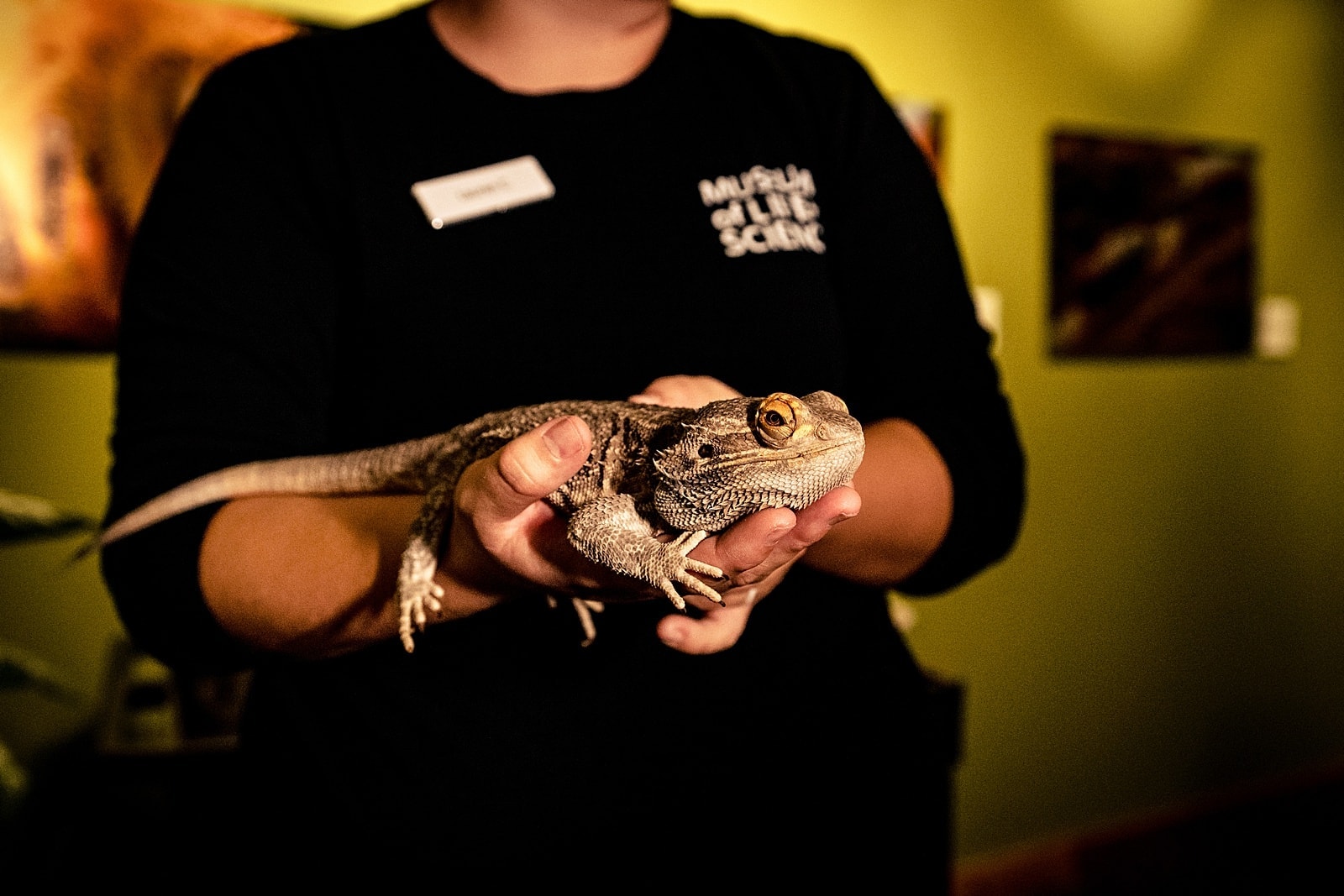 Museum of Life and Science wedding in Durham, NC