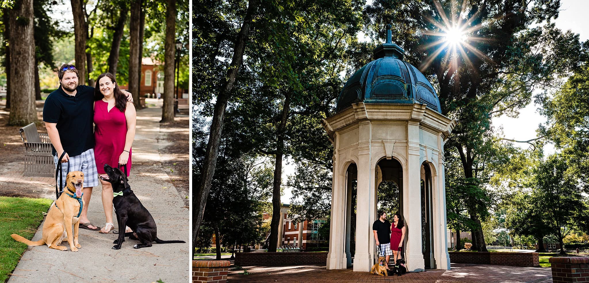 Fun engagement photos with dogs