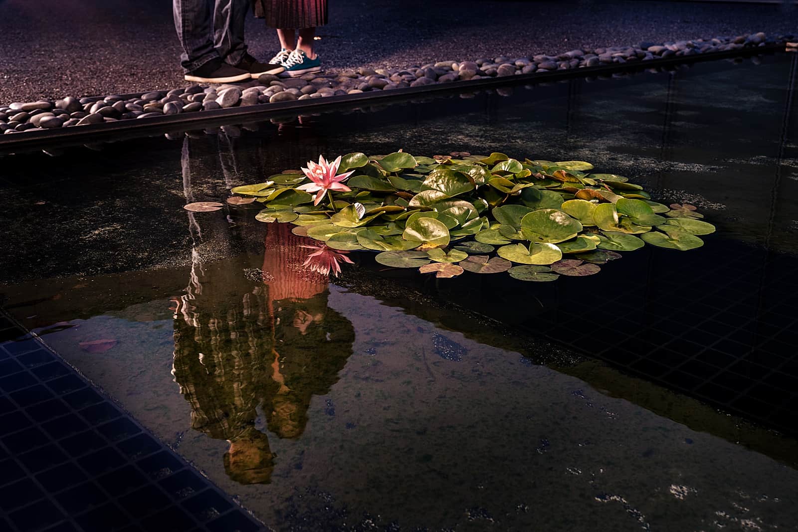 creative engagement photography in Raleigh, NC