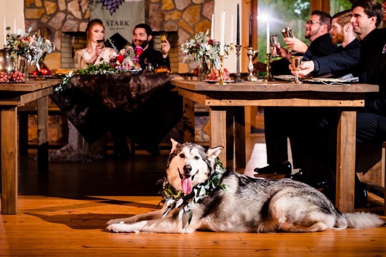 Game of Thrones Wedding Inspiration