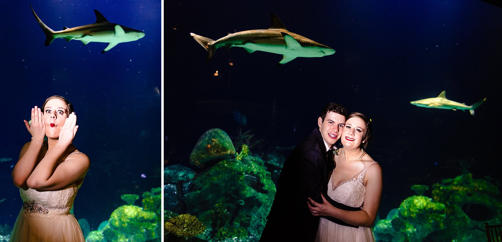 Greensboro Science Center Wedding