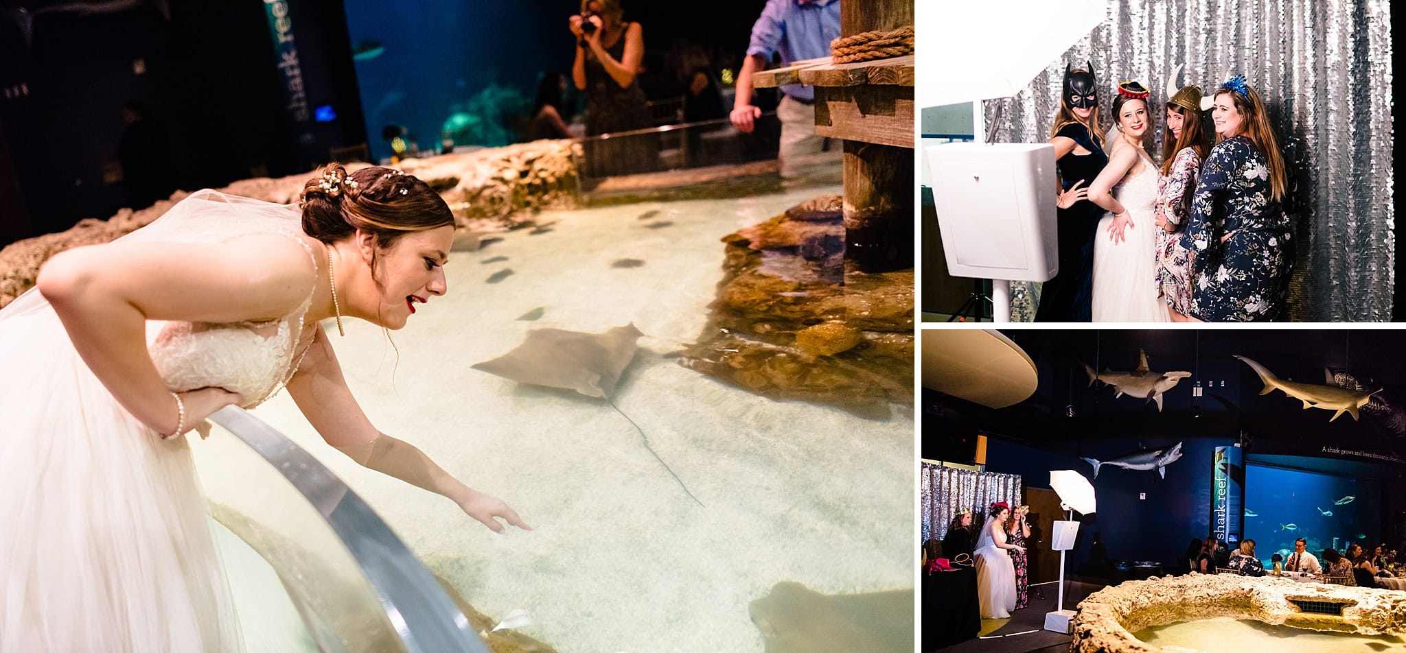 Greensboro Aquarium Wedding