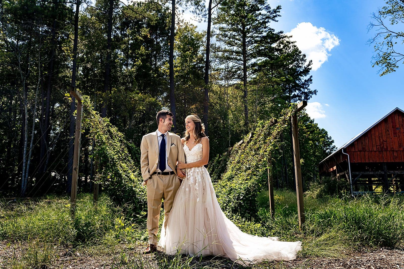 a first look at Lavender Oaks Farm