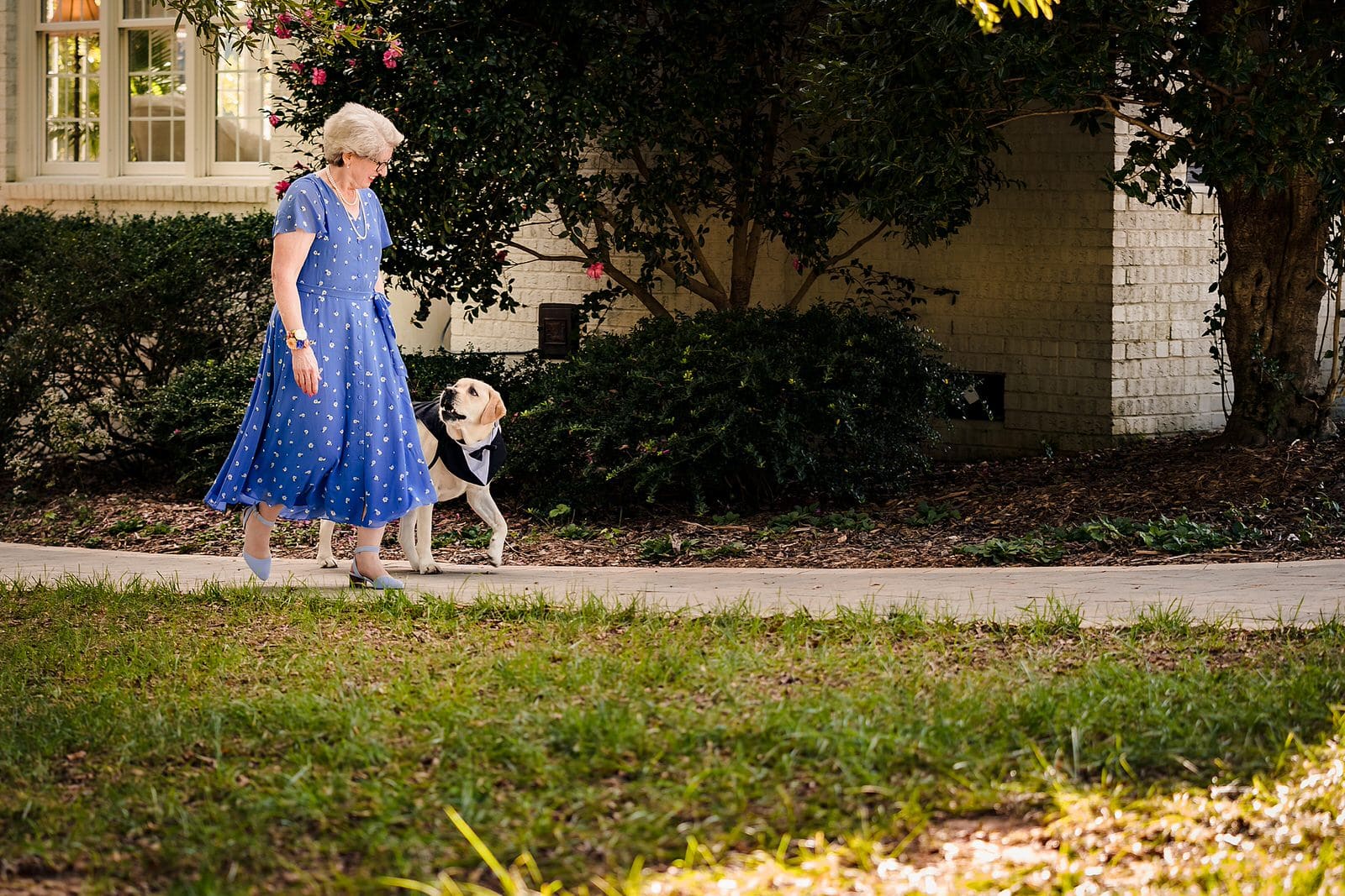 Mother of the bride walks in with her dog who is the ring bearer