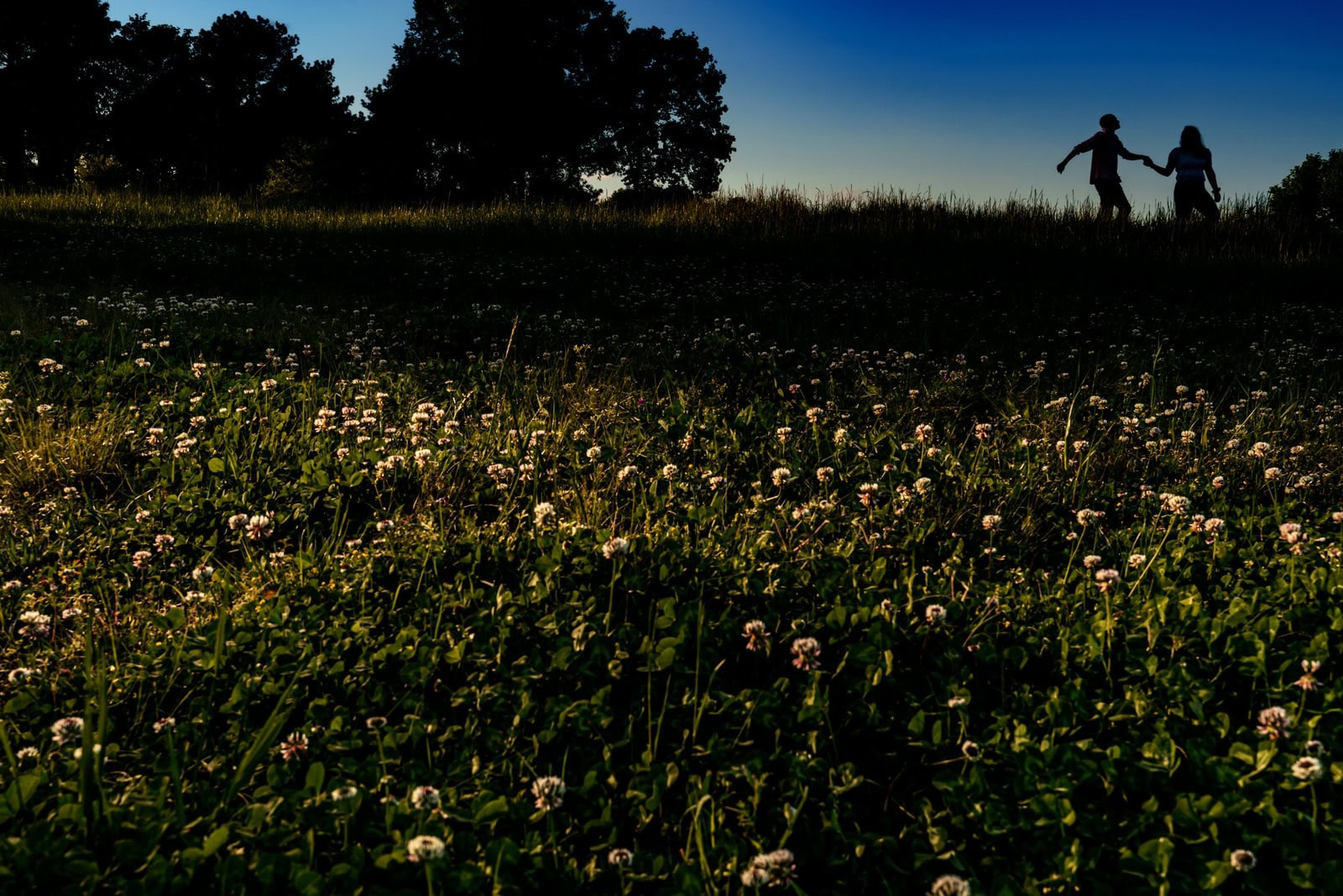 North Carolina Museum of Art park is perfect for engagement photos
