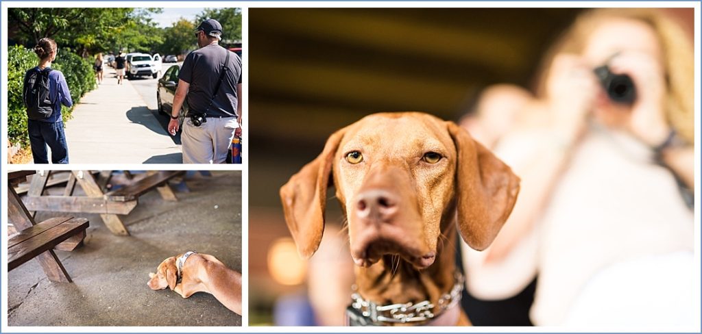 Nerdy Photographers love dogs