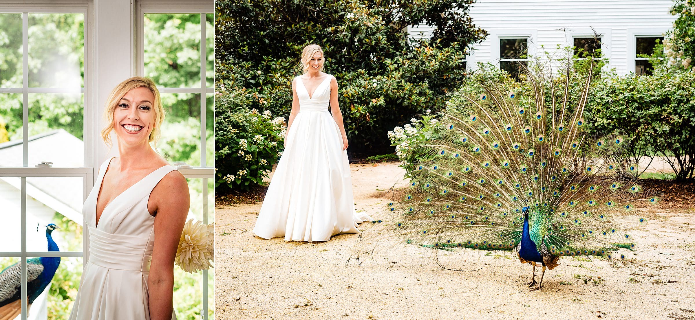 Merry Hill Wedding, Rain wedding, Rainy wedding, North Carolina Wedding Photographers, Fun Wedding photos, wedding in the rain | kivusandcamera.com
