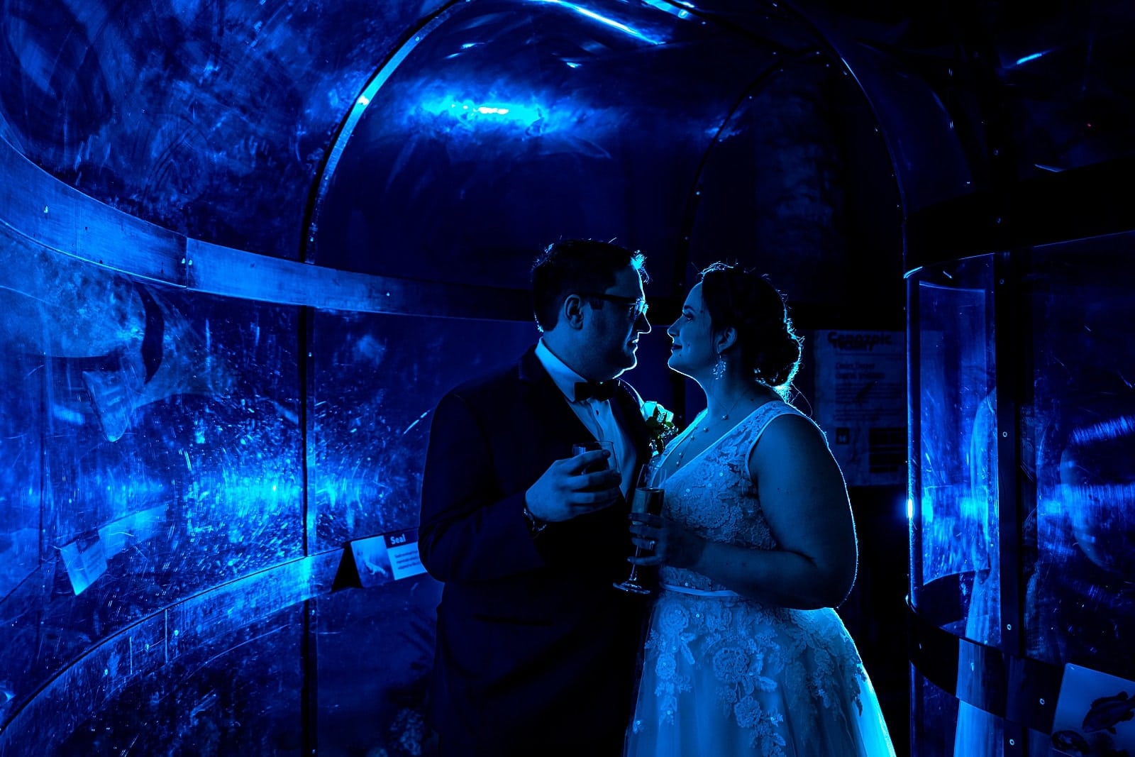 Museum wedding photos in an aquarium section