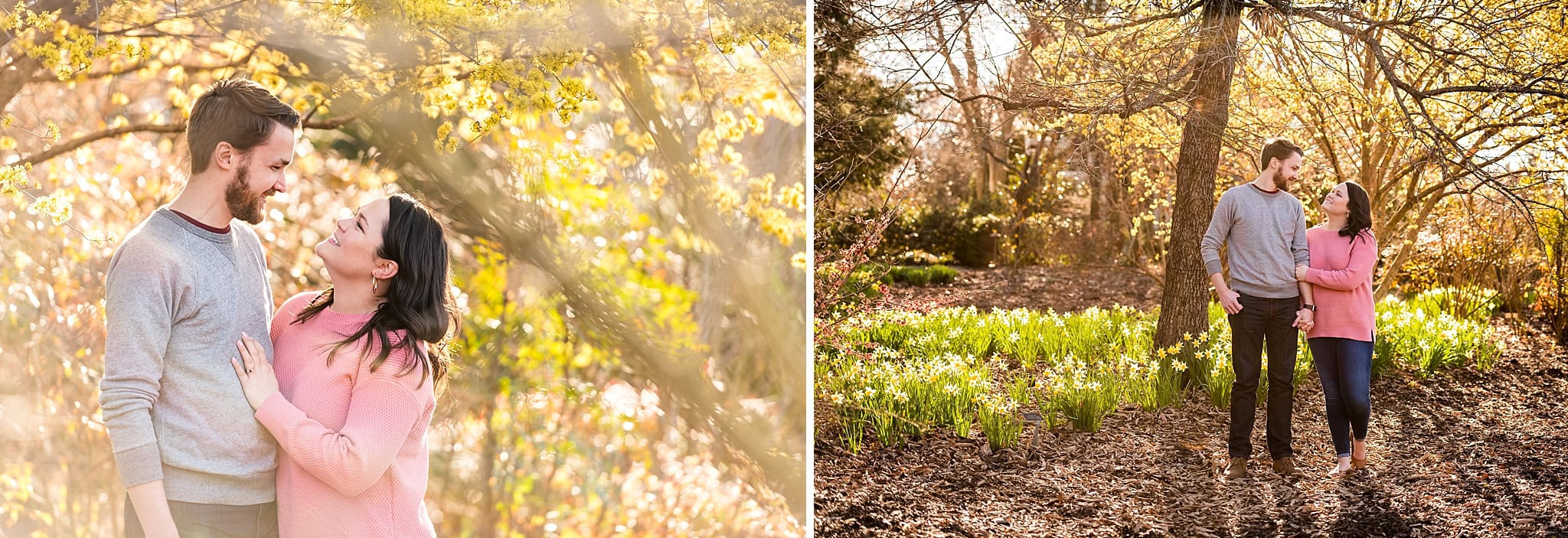 Romantic Raleigh Engagement Photos