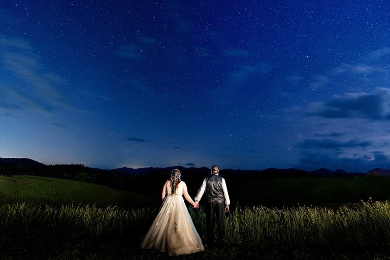 Star themed wedding with nerdy details