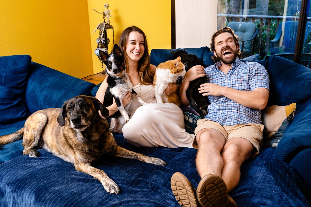 man and woman sitting on a couch laugh as they try to pose for a portrait with two cats and two dogs who are not behaving
